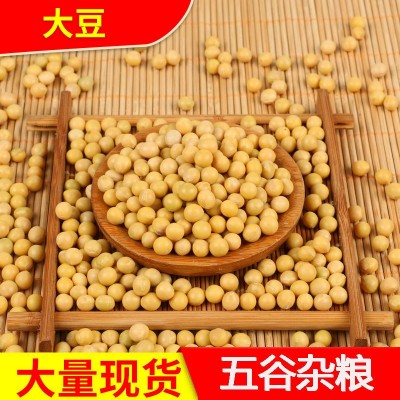 批发东北大豆 黑龙江 50千克起批图4