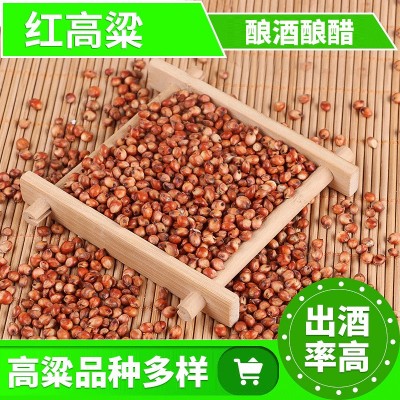 酿酒酿醋红高粱 散装带皮高粱 米信鸽饲料鸽粮糯高粱 东北红高梁 2件起批图4