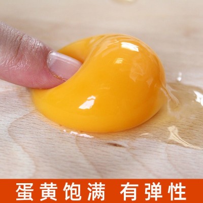 40枚新鲜土鸡蛋孕妇大个柴鸡蛋批发10枚农家散养月子笨鸡蛋草鸡蛋 2件起批图4