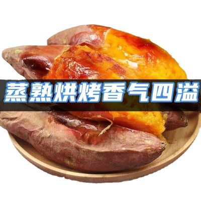 【买5斤送5斤】新鲜红薯超甜沙地蜜薯黄心番薯山芋红苕地瓜10斤 2件起批图2