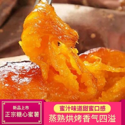【买5斤送5斤】新鲜红薯超甜沙地蜜薯黄心番薯山芋红苕地瓜10斤 2件起批图3