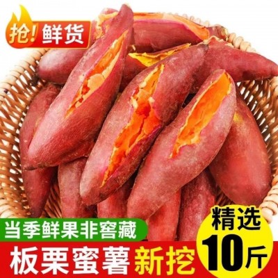 【买5斤送5斤】新鲜红薯超甜沙地蜜薯黄心番薯山芋红苕地瓜10斤 2件起批图5