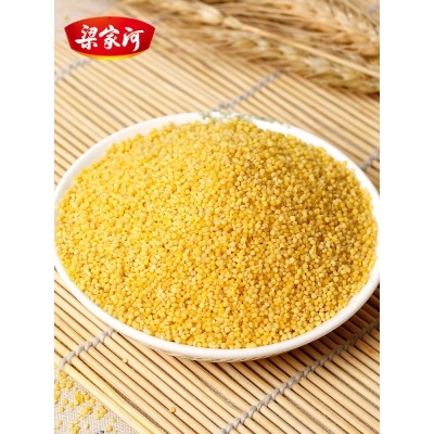 梁家河2022新黄小米农副产品粮食月子孕妇小米粥五谷杂粮1斤 2袋起批图3