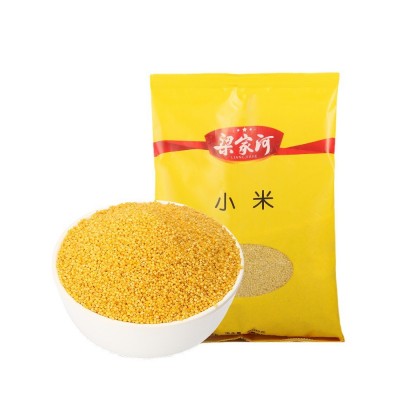 梁家河2022新黄小米农副产品粮食月子孕妇小米粥五谷杂粮1斤 2袋起批图5