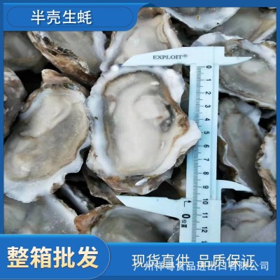 半壳生蚝急冻半壳生蚝半壳牡蛎半壳蚝 6打/72只8打/96只10打120只 5箱起批图4