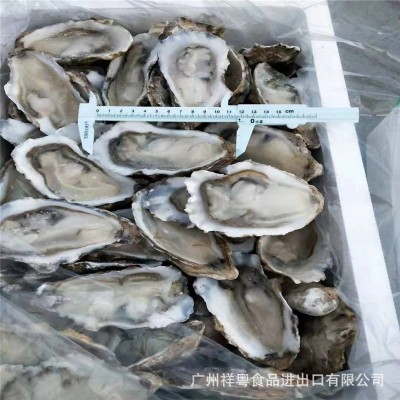 半壳生蚝急冻半壳生蚝半壳牡蛎半壳蚝 6打/72只8打/96只10打120只 5箱起批图2