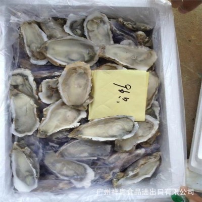 半壳生蚝急冻半壳生蚝半壳牡蛎半壳蚝 6打/72只8打/96只10打120只 5箱起批图5