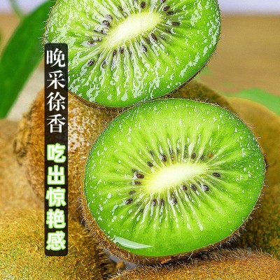 陕西周至徐香猕猴桃新鲜水果现摘现发酸甜奇异果大果 2箱起批图6