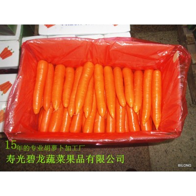 工厂大量供应出口级保鲜胡萝卜316 品种 10吨起批图5