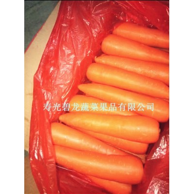 工厂大量供应出口级保鲜胡萝卜316 品种 10吨起批图3