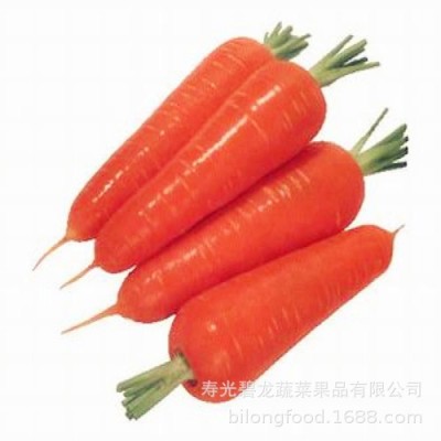 工厂大量供应出口级保鲜胡萝卜316 品种 10吨起批图2