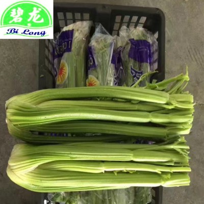 常年大量供应新季节保鲜西芹 10吨起批图4