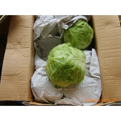 常年大量供应保鲜蔬菜各种包菜类圆包菜扁包菜紫甘蓝北京包等 10吨起批图4