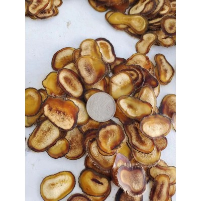 鹿产品干鹿茸片 批发吉林双阳鹿场整只鹿茸切片红粉片腊片鹿茸片 50克起批图4