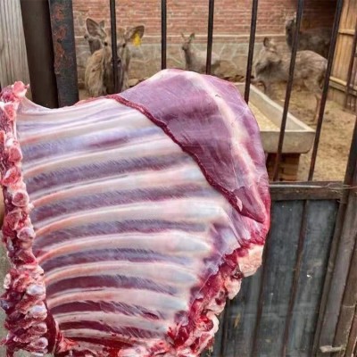 东北特产鲜鹿排 厂家批发鲜鹿肉顺丰发货鹿排骨鹿肉热销新鲜鹿排 10斤起批图5