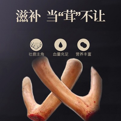 鹿茸 批发东北特产双阳鹿场整枝头茬二杠鲜鹿茸泡酒煲汤滋补鹿茸 100克起批图4