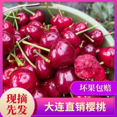 现摘现发大连大樱桃 美早红灯车厘子 3斤/箱应季时令新鲜水果 2件起批