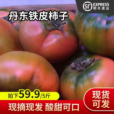 丹东铁皮柿子 新鲜采摘东北特产水果番茄 绿腚生吃草莓西红柿 2件起批图5