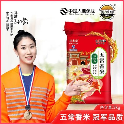 黑龙江五常长粒香东北大米批发5斤10斤装新米粳米农产品批发5kg 2袋起批