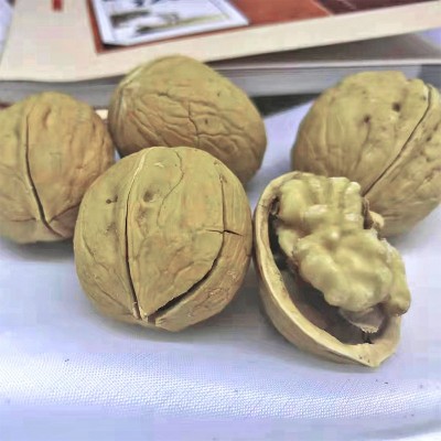 熟核桃新疆纸皮核桃阿克苏薄皮纸核桃手捏即开奶香草本味核桃代发图2