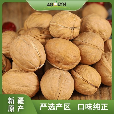 外贸新疆薄皮新33核桃欧美东南亚市场图3