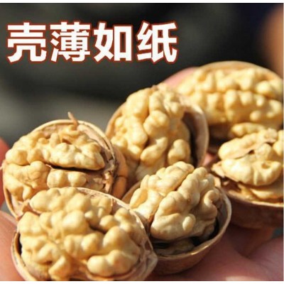 【代发】批发新疆特产新疆纸皮核桃薄皮易剥500克新疆薄皮核桃图5