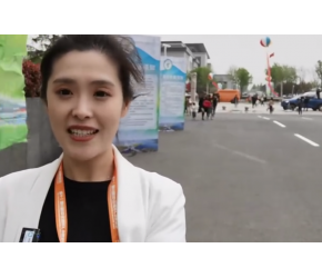 记者探营兰陵蔬菜产业菜博会