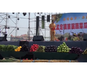 孟定镇首届蔬菜瓜果show现场精彩节目