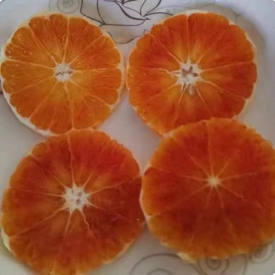 玫瑰血橙新鲜现摘现发塔罗科血橙10斤整箱批发新鲜水果广柑橙子图3