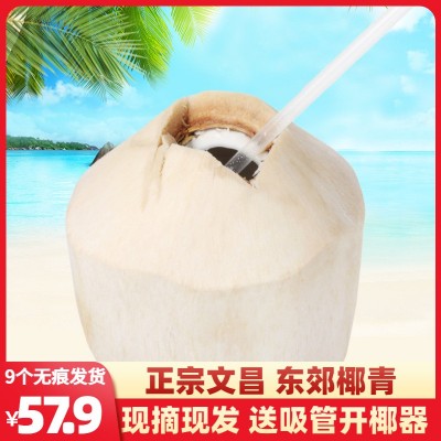 海南椰青新鲜9个装椰子水汁孕妇水果去皮青椰 椰皇 电解质水 整车图5