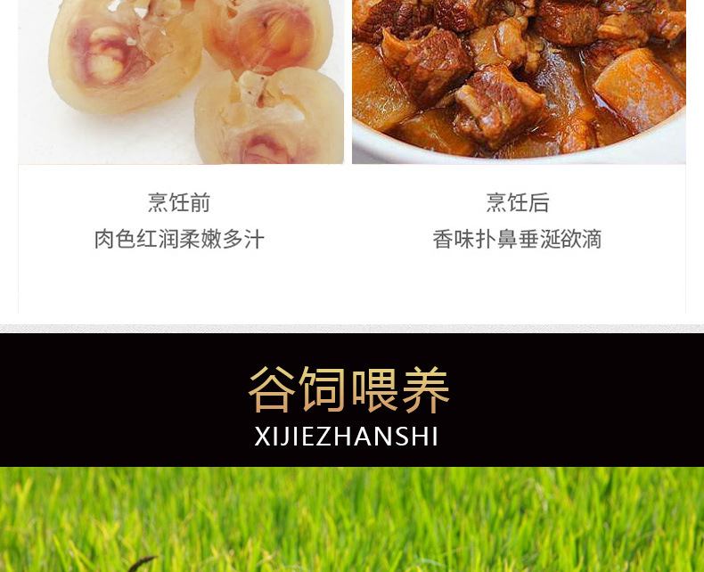 牛主筋_07.jpg