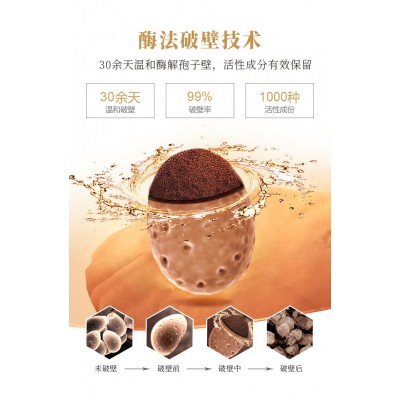 厂家直售现货批发 藏雪芝全灵芝孢子粉 酶法破壁灵芝孢子粉图5