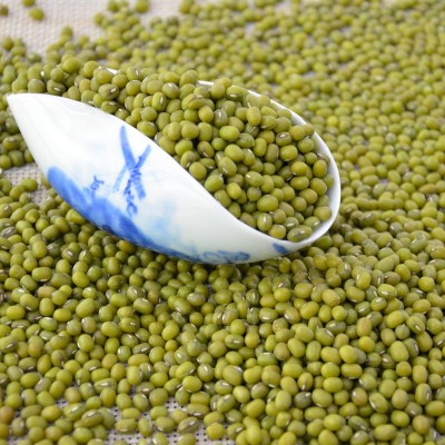 【金威玛】绿豆明绿豆优质东北原生态绿豆粥原料厂家批发一件代发图3