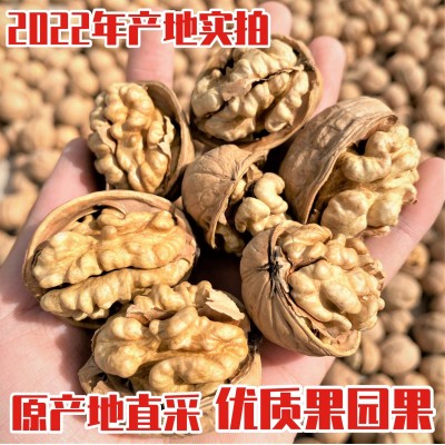 2022年新货精选阿克苏185纸皮核桃手剥核桃500g 薄壳原味图2