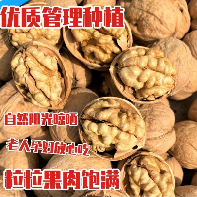 2022年新货精选阿克苏185纸皮核桃手剥核桃500g 薄壳原味图3