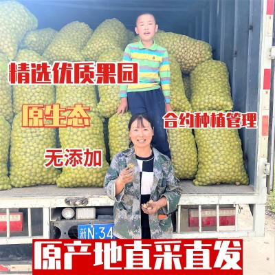2022年新货精选阿克苏185纸皮核桃手剥核桃500g 薄壳原味图4