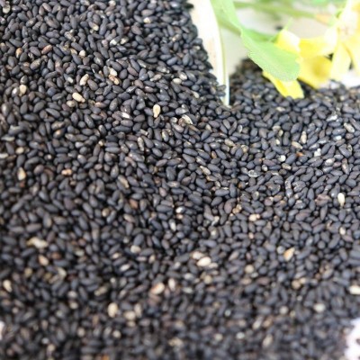 厂家现货低温烘焙熟五谷黑芝麻五谷粗粮 现磨豆浆原料图4