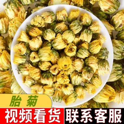 批发苏胎菊干胎菊茶 浙胎菊精选罐装胎菊花茶袋泡茶花茶源头厂家