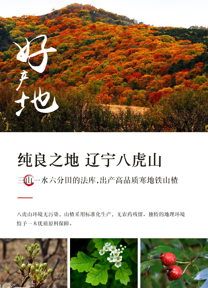 汉堡_09