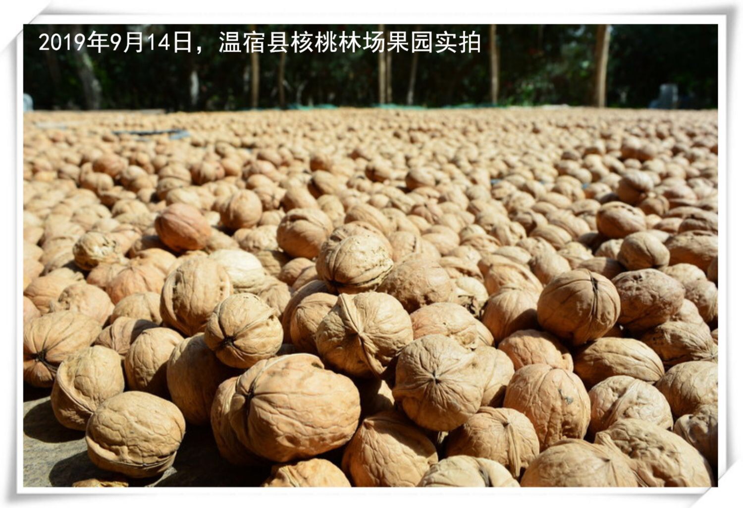 图32.jpg