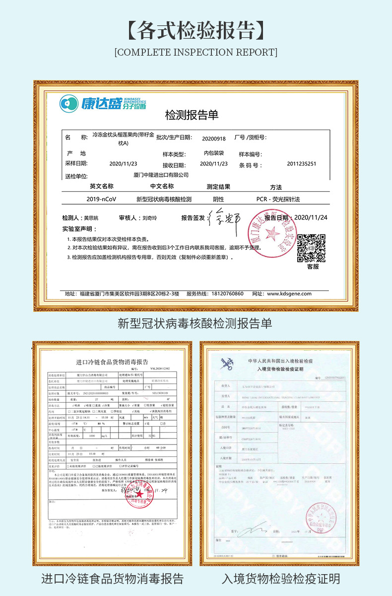 果肉报告详情版面