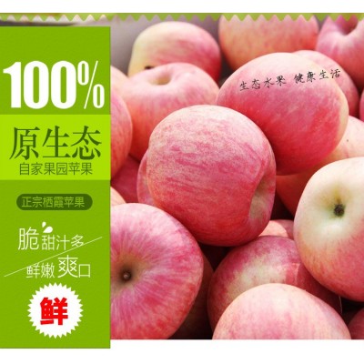 烟台栖霞红富士苹果新鲜甜脆水分足净重5斤一件代发品质保证图4
