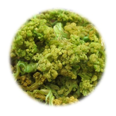 厂家供应量大从优 脱水松花菜 脱水蔬菜干 青梗松花菜 白花菜图5