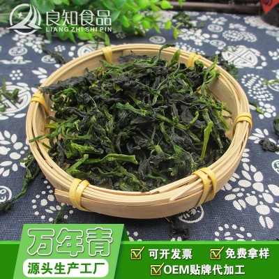 脱水万年青 脱水菜心 脱水蔬菜干 菜干 橄榄菜 厂家供应量大从优图4