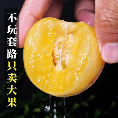 云南石林人参果10斤大果人生果当季水果新鲜大全七彩人叁 果金包邮图3