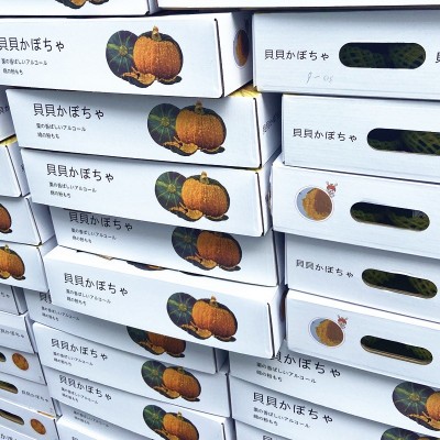 贝贝南瓜板栗味小南瓜5斤新鲜蔬菜正宗板栗南瓜婴儿宝宝辅食包邮图3