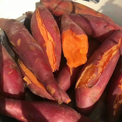 现货批发山东烟台烟薯25号红薯新鲜香甜沙地蜜薯烤地瓜5斤 装流油图4