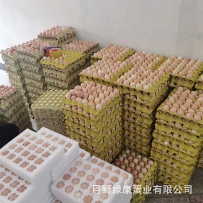 新鲜鸡蛋红壳鸡蛋鲜鸡蛋批发五谷饲养鸡蛋批发厂家供应量大从优图2