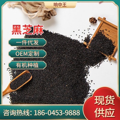 农家自产黑芝麻300g真空包装有机黑芝麻东北特产生黑芝麻量大价优