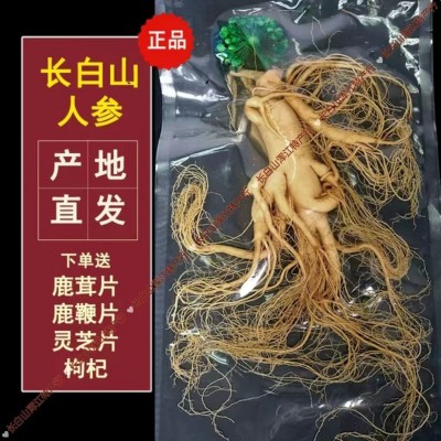 特大人参单支长白山鲜人参送礼一斤东北非野山参人椮叁人参泡酒用图2
